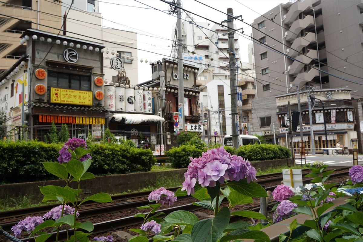 街歩き「大塚」｜今も昔も変わらぬ、都電の風景が見られる街｜vol30 | マンスリー48