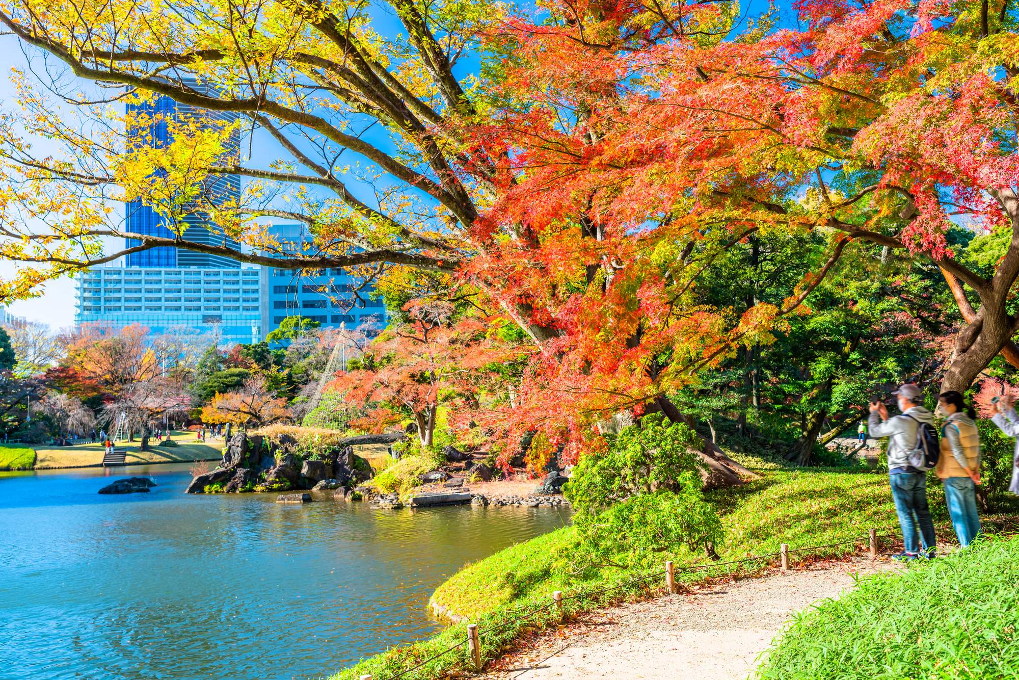 【最新版】これで完璧！東京の「庭園」17選。有名所から穴場まで一挙紹介。