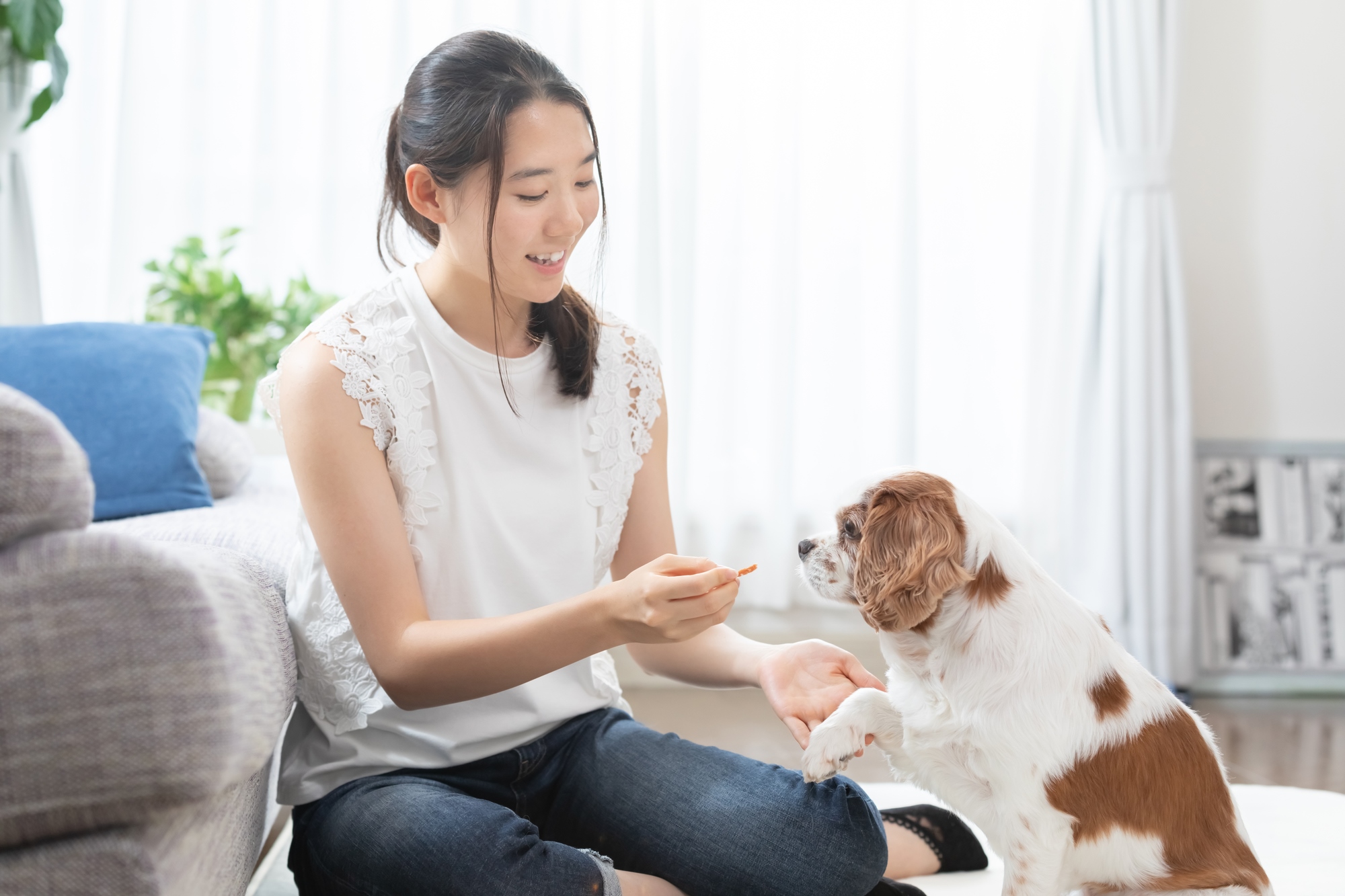 一人暮らしで犬を飼う際の注意点と部屋探しのポイント マンスリー48