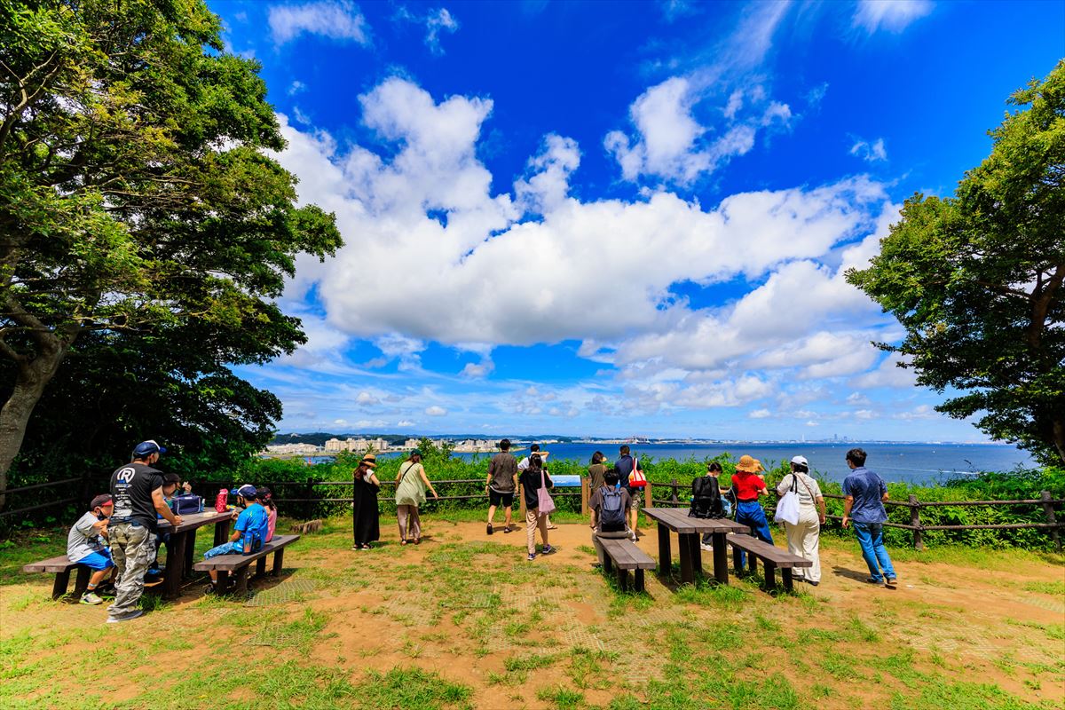 【神奈川】オススメの公園5選。自然だけでなく、歴史や異国情緒も学べるスポットが満載。
