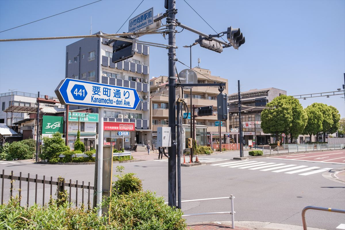 小竹向原ってどんな街？引っ越し前に住みやすさを徹底解説！