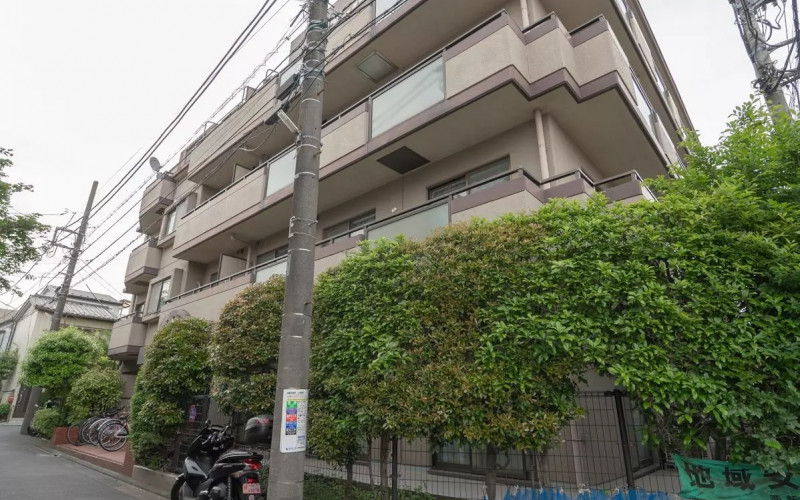 AP1346 セザール西新井大師 101